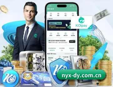 白夜行电影 APP 深度功能